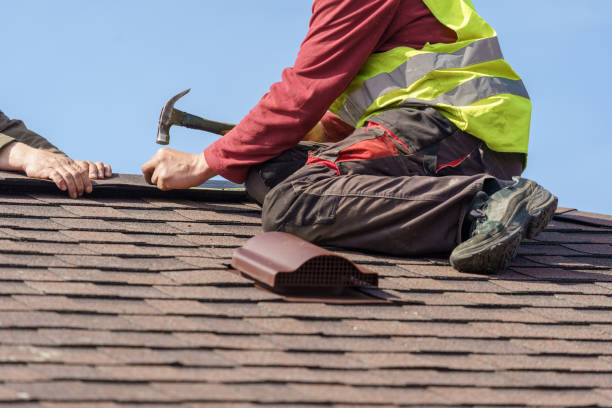 Best Roof Gutter Cleaning  in Oberlin, OH