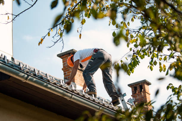 Best Gutter Installation and Roofing  in Oberlin, OH